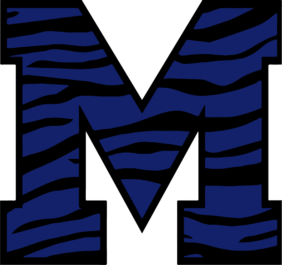 Memphis Tigers 2013-Pres Secondary Logo v2 DIY iron on transfer (heat transfer)